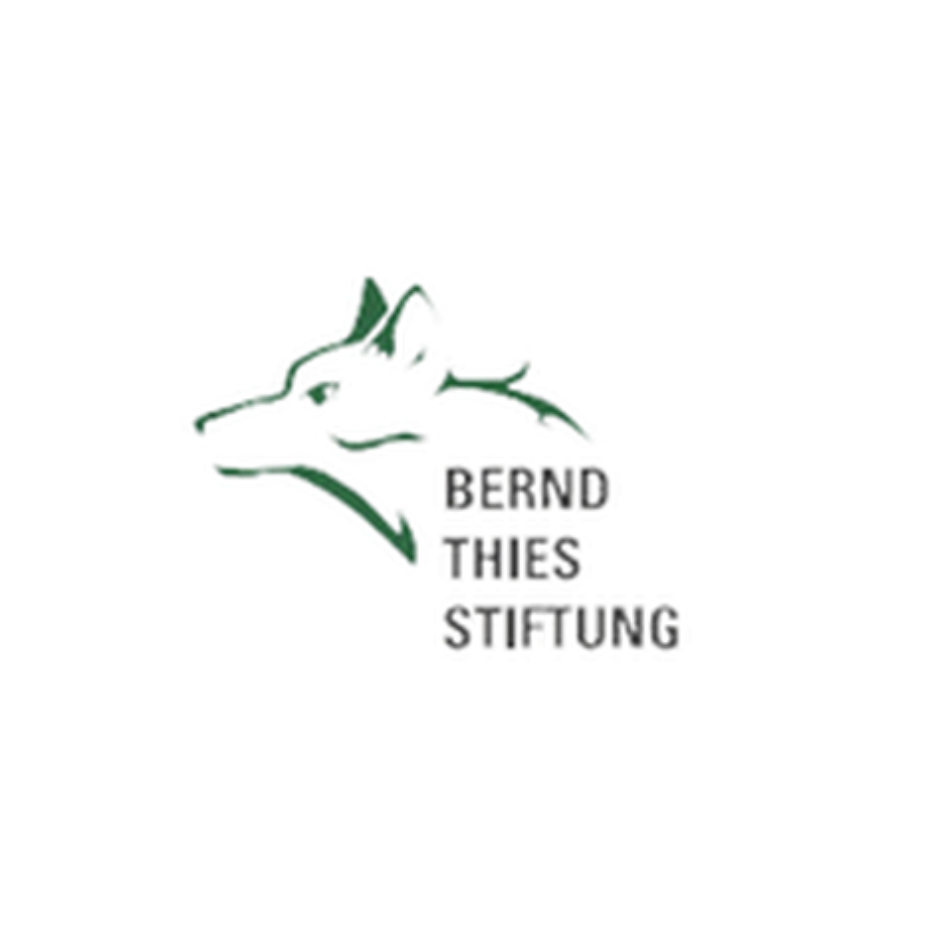 Fundação Bernd Thies Fundação Bernd Thies